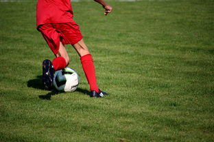 乐鱼电竞-篮球运动员训练负荷智能监控系统研发及应用，基础阶段篮球训练负荷安排