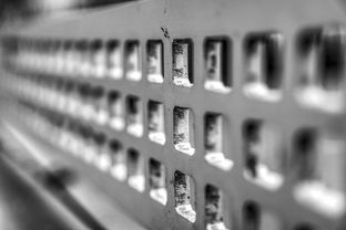 乐鱼（中国）体育官方网站-高校运动训练科学管理模式创新实践，运动训练科研管理工作要求